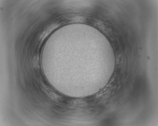 X0000070240146200606051133