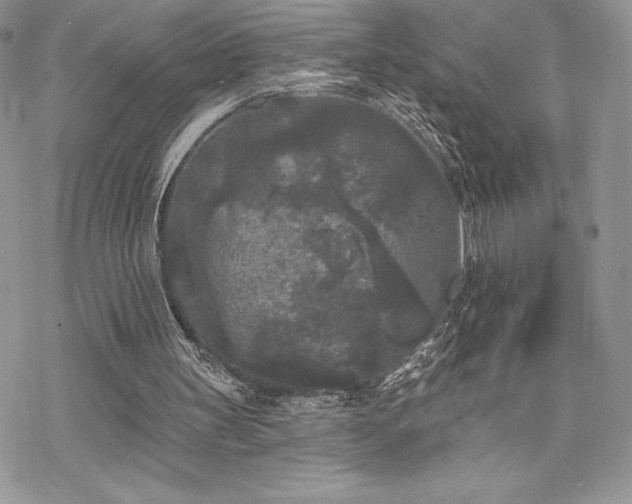 X0000070240147200606051133