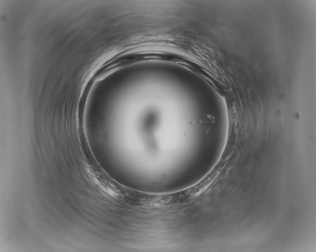 X0000070240148200606051133