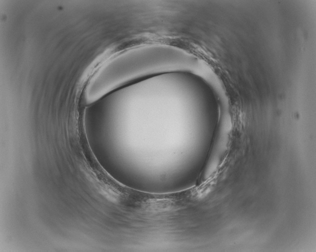 X0000070240150200606051133