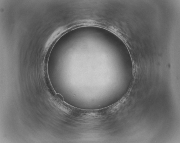 X0000070240151200606051133