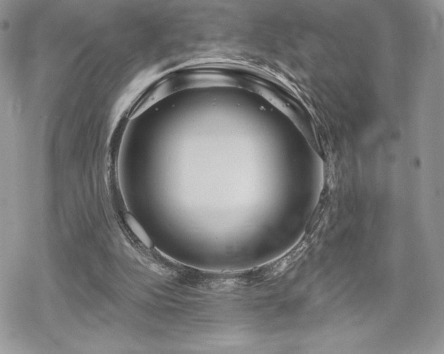 X0000070240152200606051133