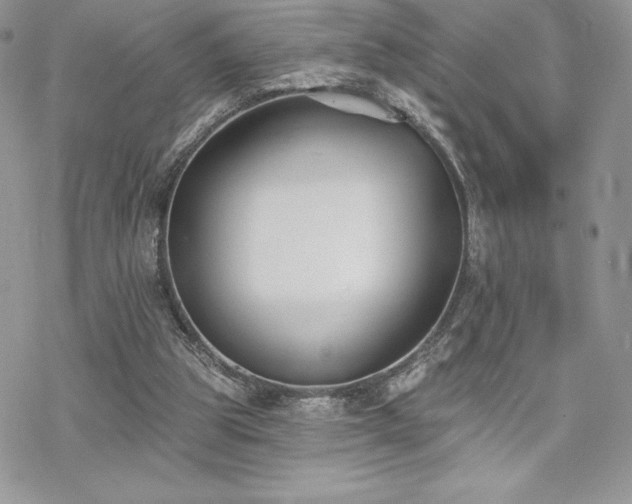 X0000070240153200606051133