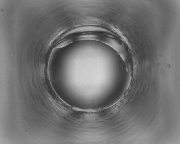 X0000070240154200606051133