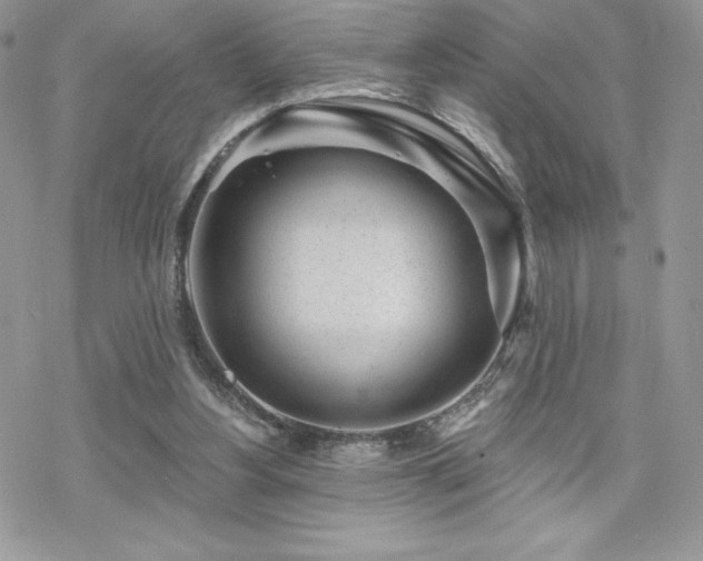 X0000070240156200606051133