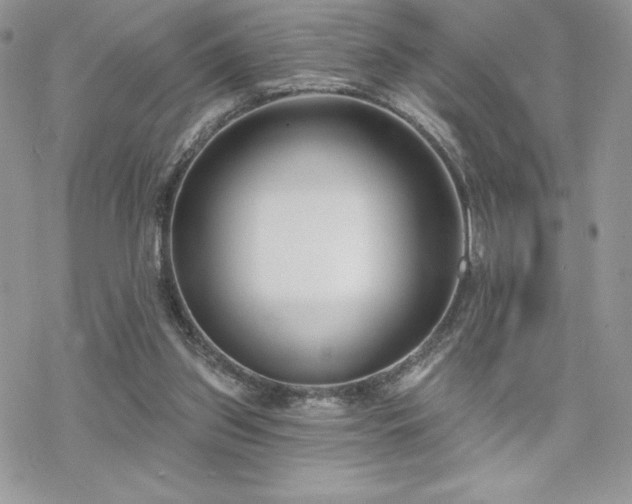 X0000070240157200606051133