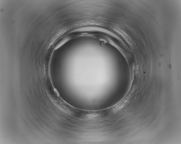 X0000070240158200606051133