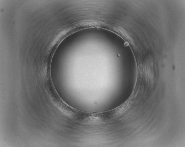 X0000070240159200606051134