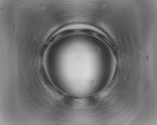 X0000070240164200606051134