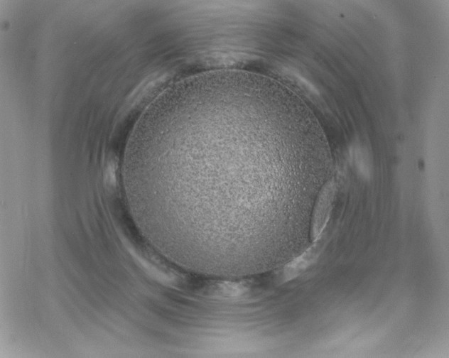 X0000070240166200606051134