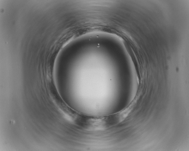 X0000070240170200606051134