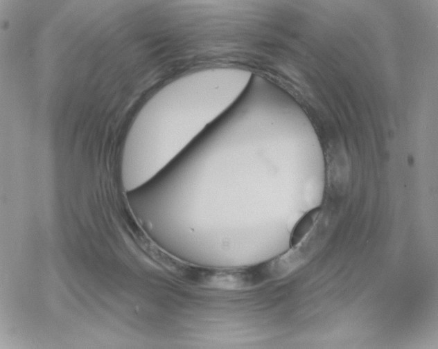 X0000070240171200606051134