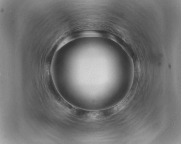 X0000070240172200606051134