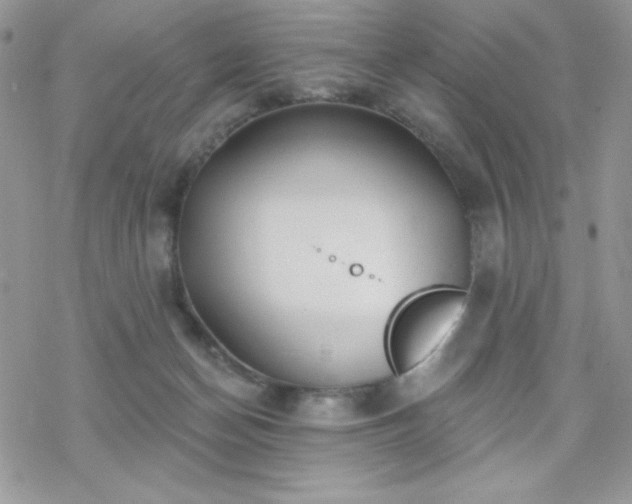 X0000070240174200606051134