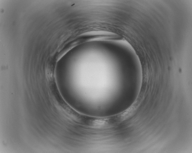 X0000070240176200606051134