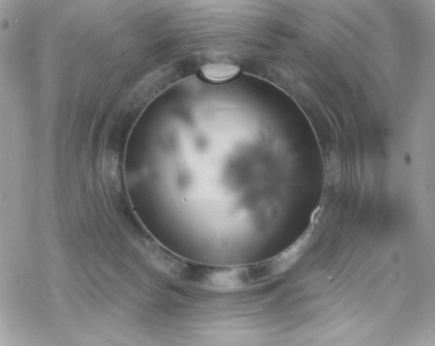 X0000070240178200606051134