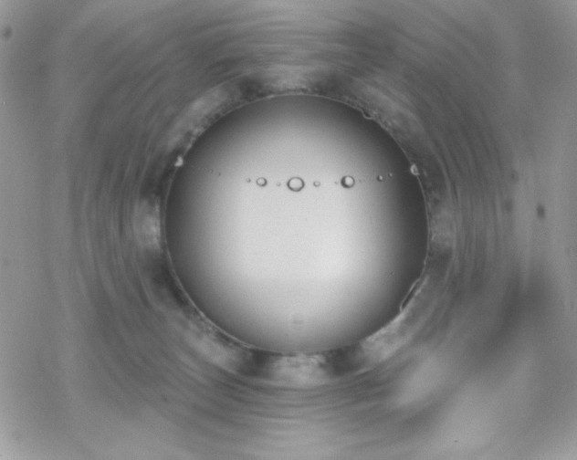 X0000070240179200606051134