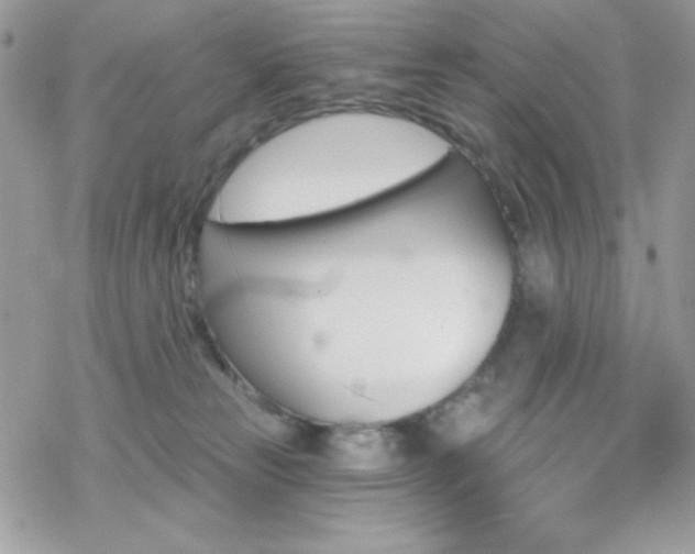 X0000070240181200606051134