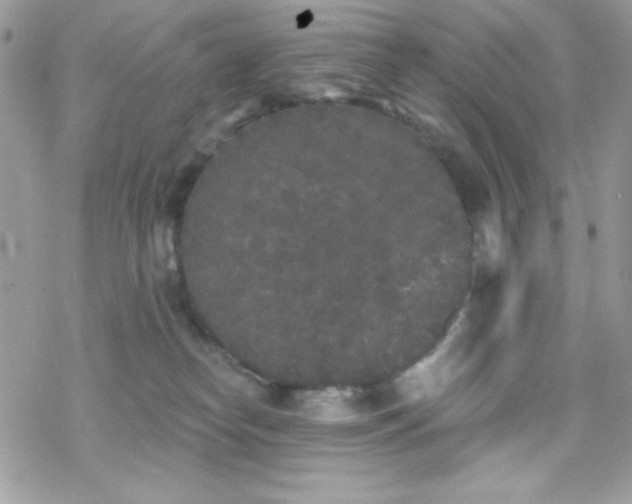 X0000070240182200606051134