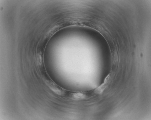 X0000070240183200606051134