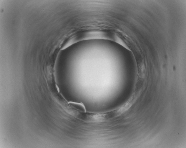 X0000070240184200606051134