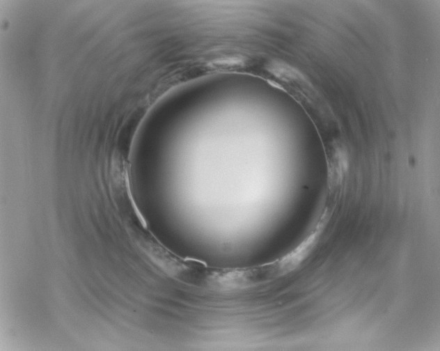 X0000070240186200606051134