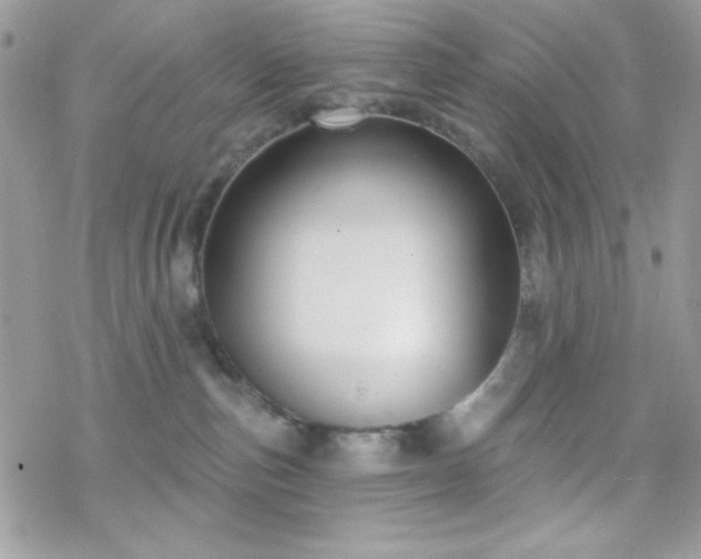 X0000070240187200606051134