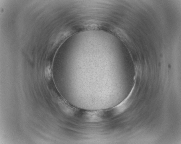 X0000070240190200606051134