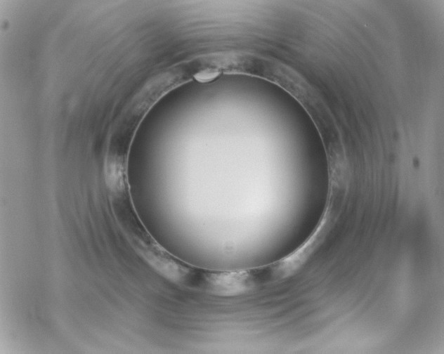 X0000070240191200606051134