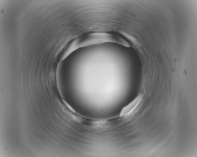 X0000070240192200606051134