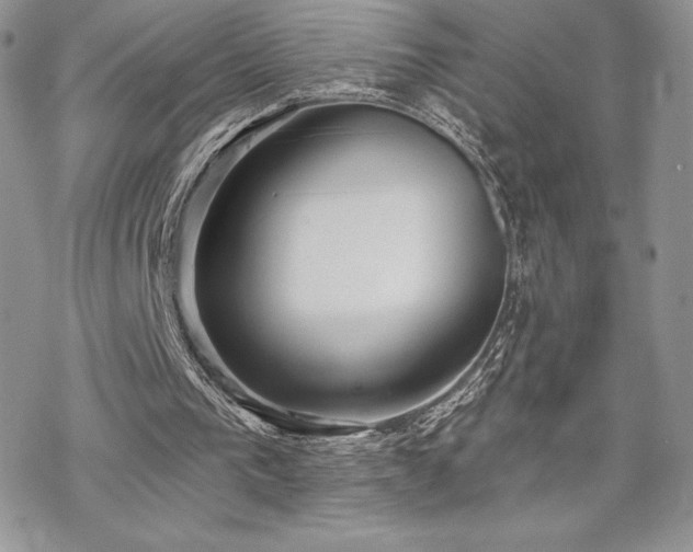 X0000070240193200606051133