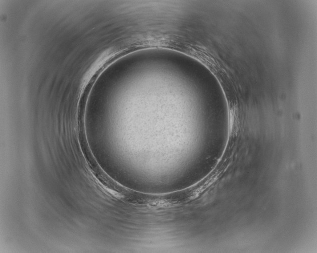 X0000070240195200606051133