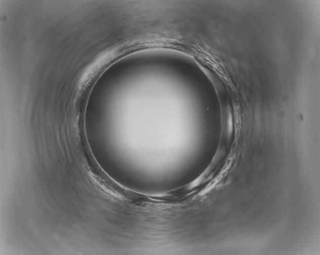 X0000070240197200606051133