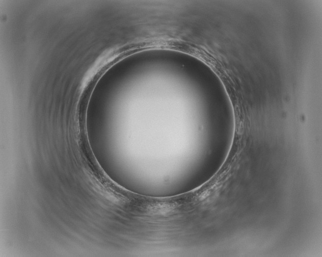 X0000070240198200606051133