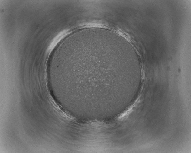 X0000070240199200606051133