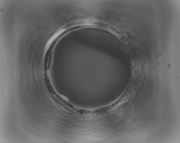 X0000070240200200606051133