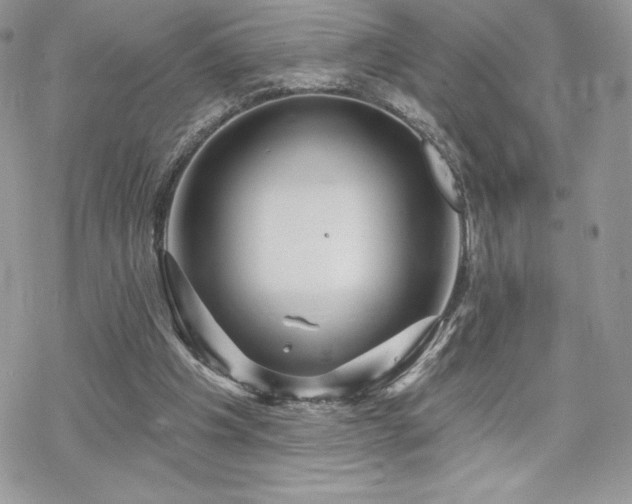 X0000070240201200606051133