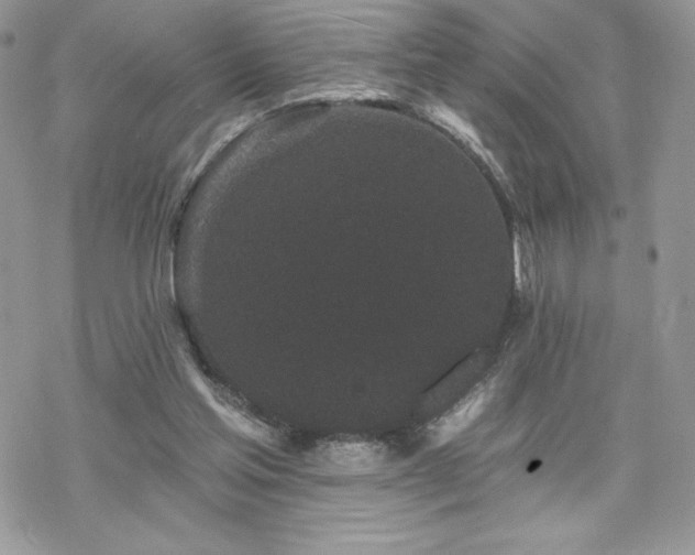 X0000070240205200606051133