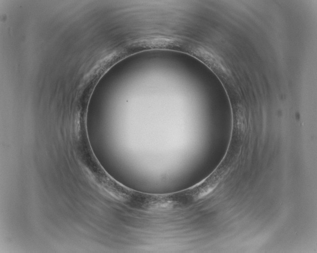 X0000070240206200606051133