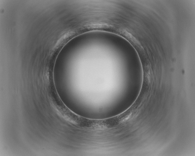 X0000070240207200606051133