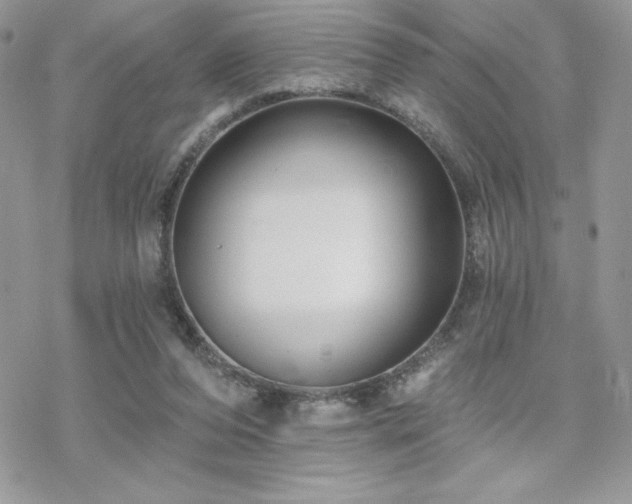 X0000070240208200606051133