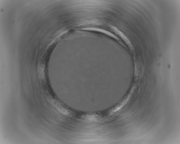 X0000070240209200606051133