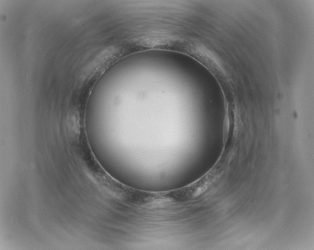 X0000070240210200606051133