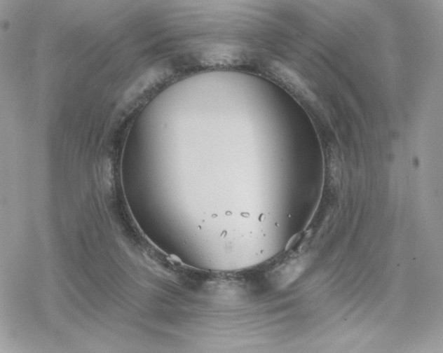 X0000070240211200606051133