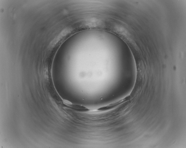 X0000070240212200606051133