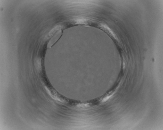 X0000070240213200606051133