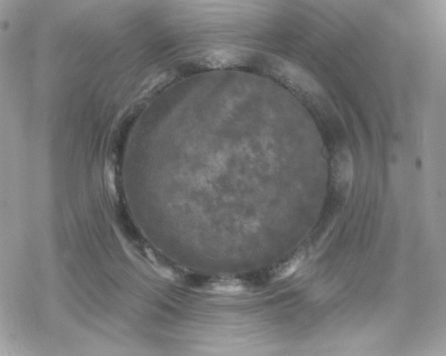 X0000070240214200606051133