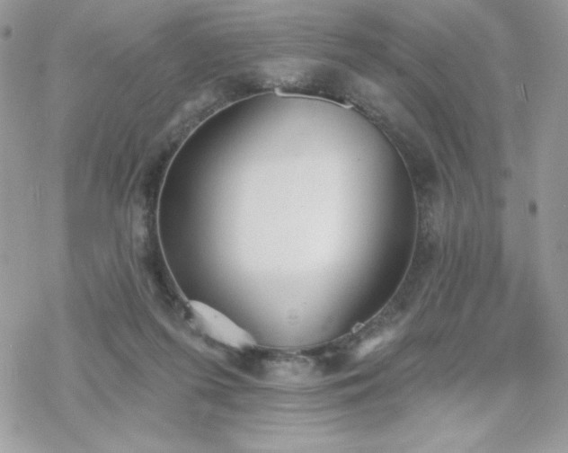 X0000070240215200606051133