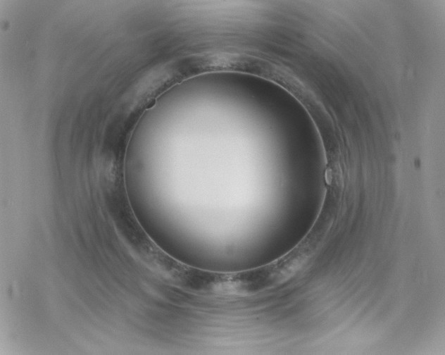 X0000070240216200606051133