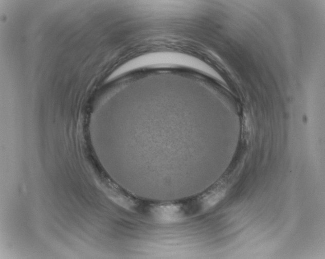 X0000070240217200606051133